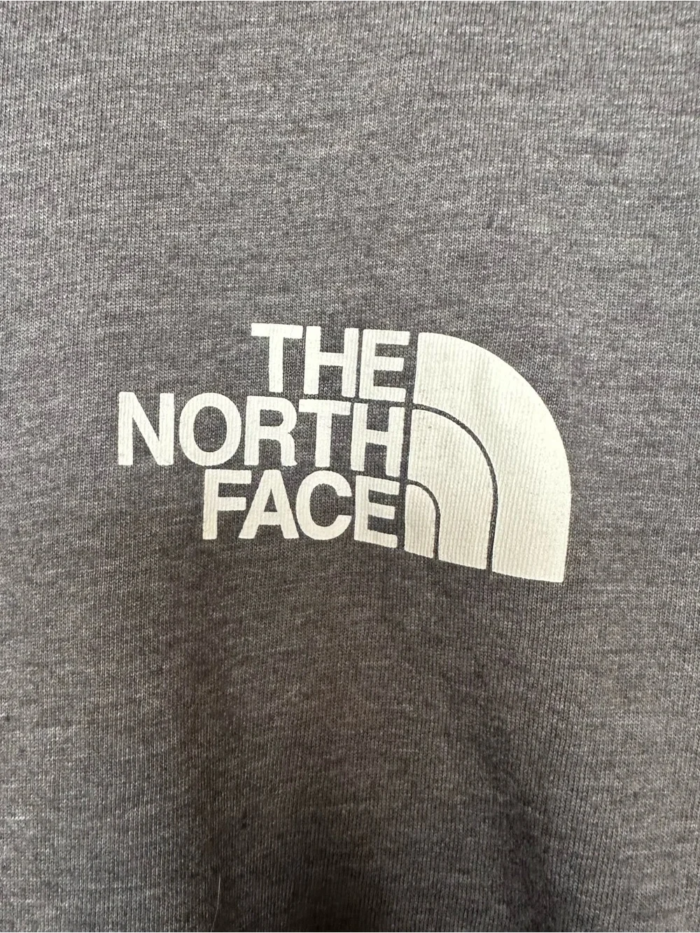 THE NORTH FACE EVOLUTION BOX NSE LONG